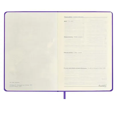 Ежедневник недат. А6+ 120л 126х174 "Наппа" ПРУД , иск.кожа, мягкий переплет, тиснение фольгой, офсет, ляссе - фото 5