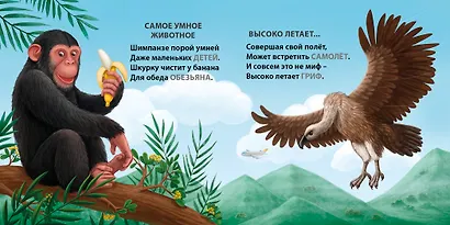 Такие разные птицы. Загадки-рифмы - фото 4