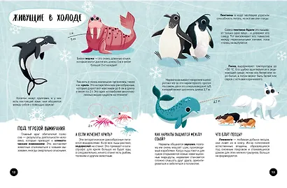 Что? Как? Почему? Мои первые знания про ПЛАНЕТУ ЗЕМЛЯ (с постером) - фото 5