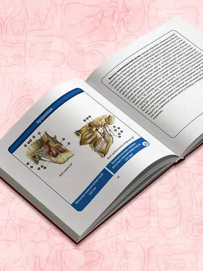 Анатомия человека. Компактный атлас. Опорно-двигательный аппарат - фото 11