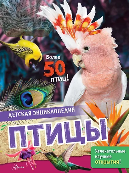Птицы - фото 1