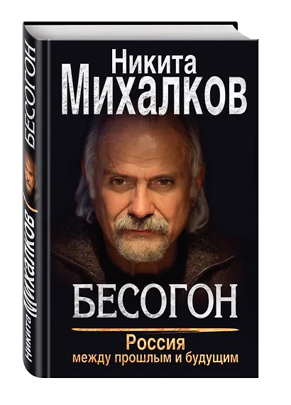 Бесогон. Россия между прошлым и будущим - фото 3