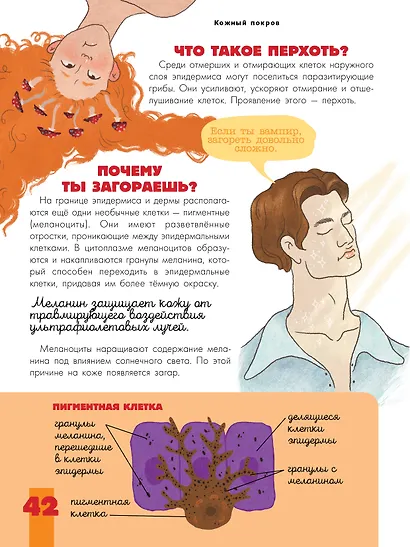 Тело человека - фото 13