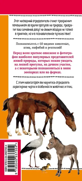 Животные на ферме. Наглядный карманный определитель - фото 2
