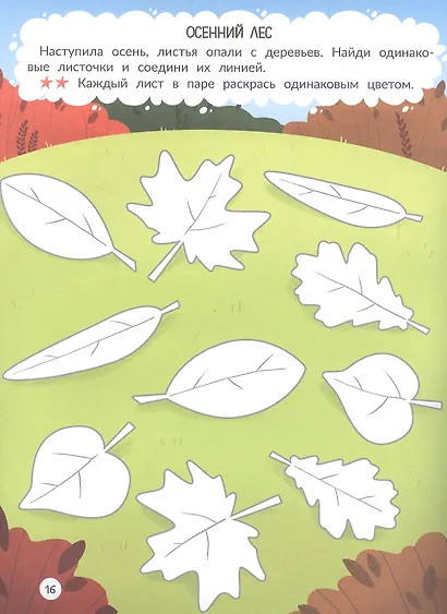 Лес: книжка-раскраска - фото 4