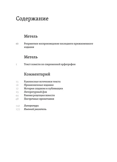 Сочинения. Комментарованное издание. Выпуск 2 (5): Метель - фото 2