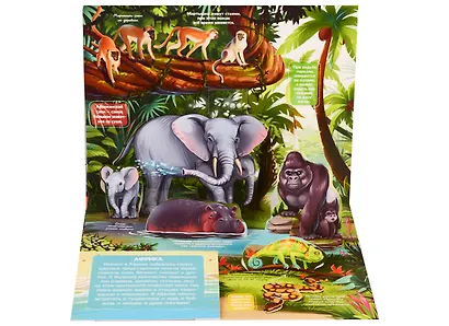 Живая планета. Джунгли (книжка-панорамка) - фото 5