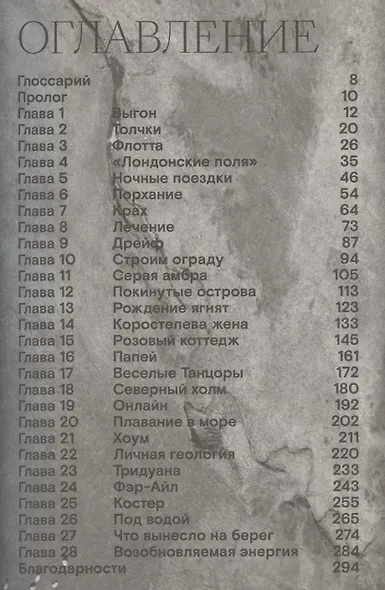 Выгон - фото 2