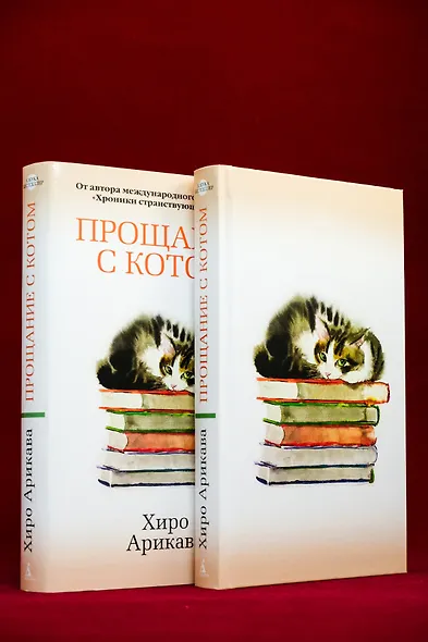 Прощание с котом - фото 13