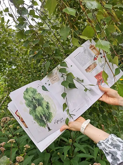 Мой гербарий. Листья деревьев(переупак) - фото 8