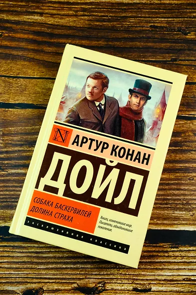 Собака Баскервилей. Долина Страха - фото 4