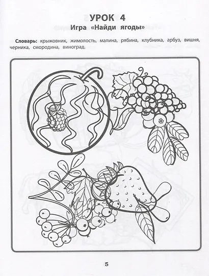 Запутанные картинки. Коррекция оптической дисграфии: рабочая нейротетрадь для дошкольников - фото 2