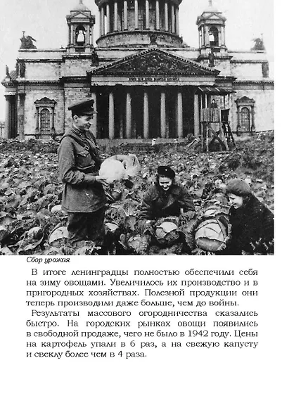 Блокада Ленинграда. Размышления о подвиге и трагедии - фото 6