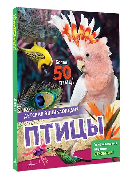 Птицы - фото 3
