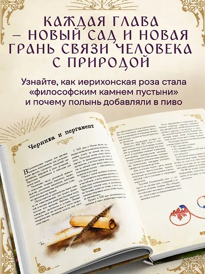 Травология Средневековья. Чудодейственные растения, древние рецепты и непостижимые тайны трав - фото 5