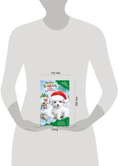 Щенок Холли, или Туфли для ведьмы : повесть - фото 4