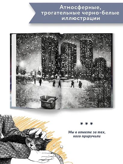 Долгая дорога домой - фото 10