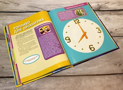 Большая энциклопедия. Тело человека - фото 5