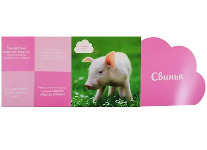 Кто прячется на ферме? - фото 4