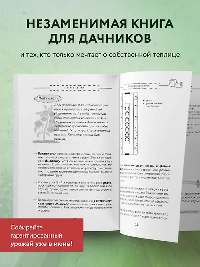 Разумная теплица. Главная книга о раннем урожае от Галины Кизимы (новое оформление) - фото 6