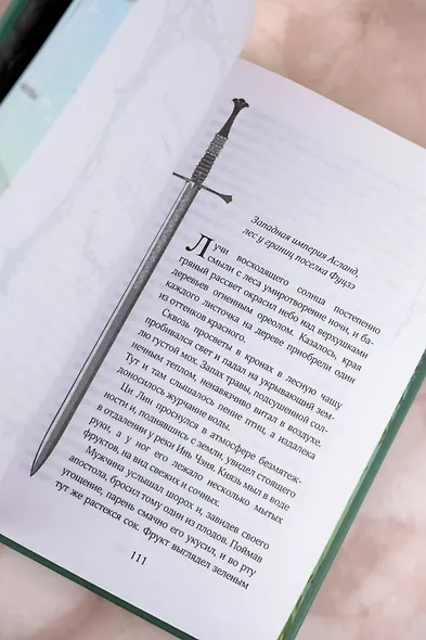 Легенда о разорении династий. Книга 1. Снег и туман - фото 12