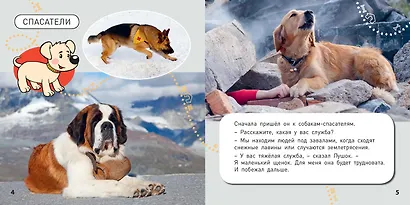 Какие бывают собаки? - фото 3