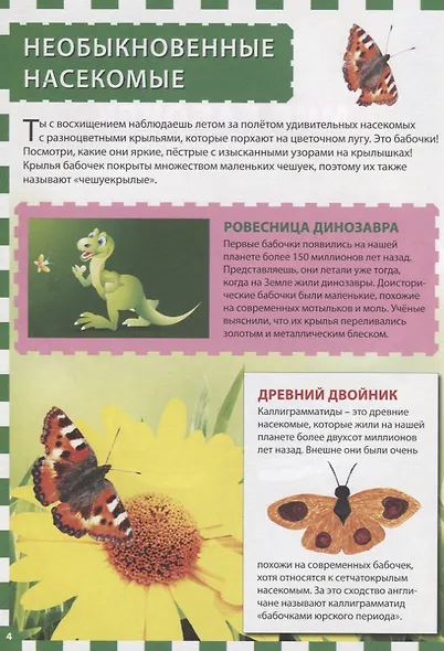 Бабочки. Первая энциклопедия для детей - фото 3