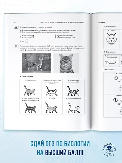 ОГЭ-2026. Биология. 10 тренировочных вариантов экзаменационных работ для подготовки к основному государственному экзамену - фото 8
