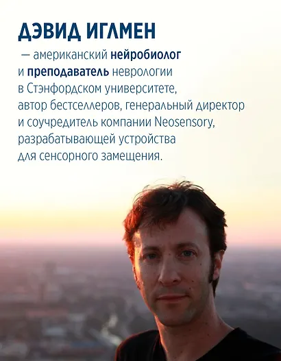 Мозг: ваша личная история - фото 6