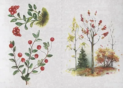 «Четыре сезона. Осень». Развивающая игра для дошкольников и младших школьников - фото 3