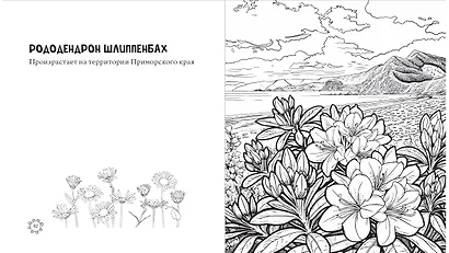 Чарующие краски России. Страницы нежности и красоты - фото 8