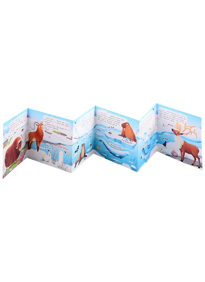 В холодных краях. Книжка-гармошка - фото 2