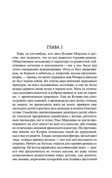 Нортенгерское аббатство - фото 11