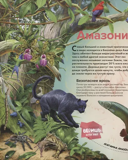 Планета Земля - фото 5