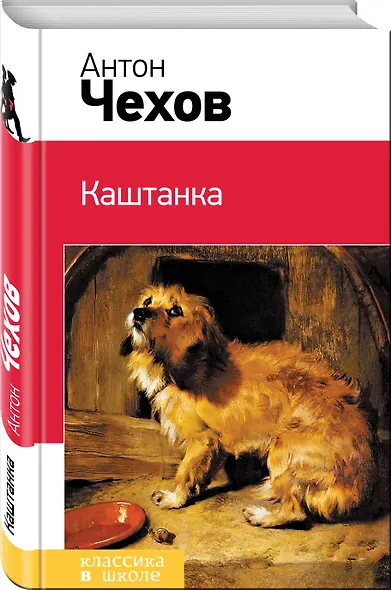 Каштанка - фото 3