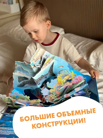 Все тайны подводного мира - фото 11