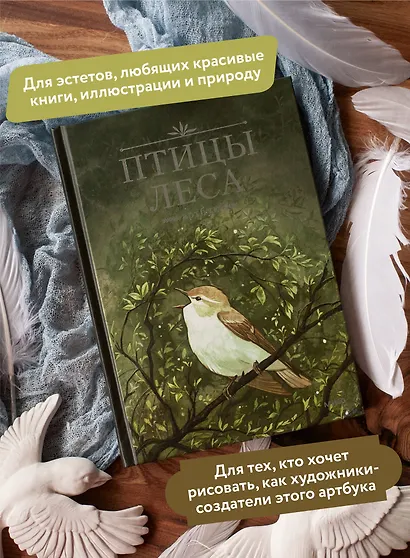 Птицы леса. Артбук - фото 5