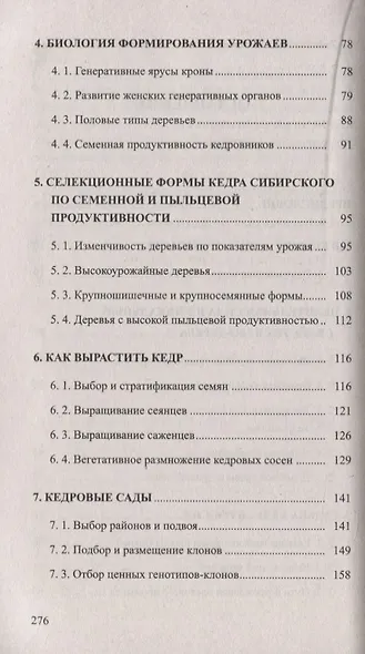 Кедр - царь сибирской тайги - фото 3