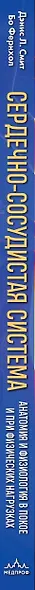Сердечно-сосудистая система. Анатомия и физиология в покое и при физических нагрузках - фото 13