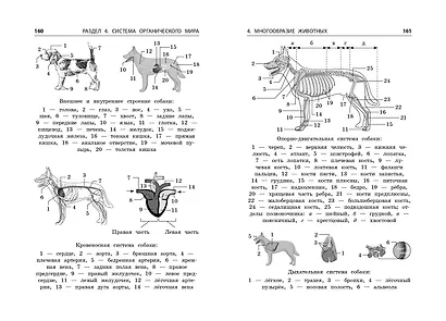 Биология - фото 9