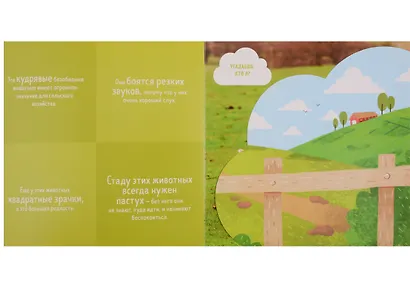 Кто прячется на ферме? - фото 3