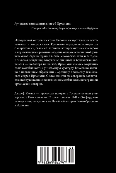Краткая история Ирландии - фото 2