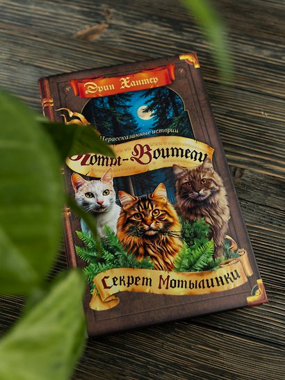 Коты-воители. Сборник. Нерассказанные истории. Секрет Мотылинки - фото 4