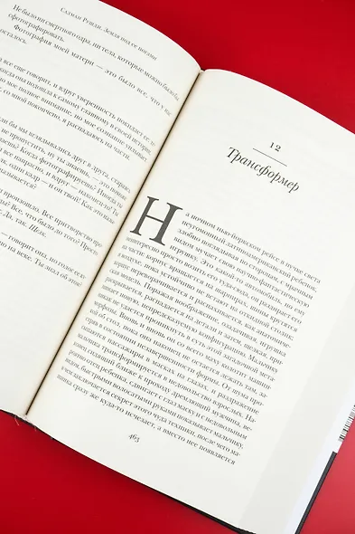 Земля под ее ногами - фото 11