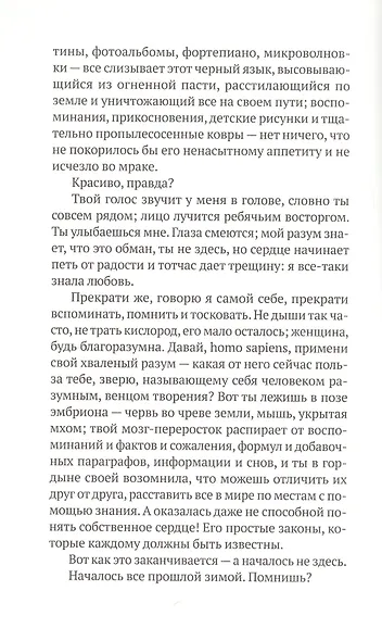 Вулканы, любовь и прочие бедствия - фото 4