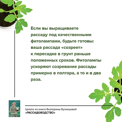 Рассадоводство. Первые шаги к своему идеальному саду - фото 4