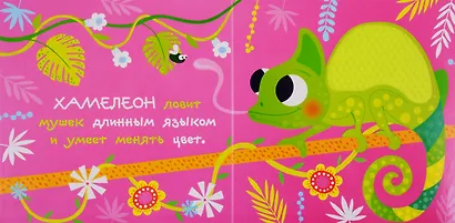 В джунглях - фото 2