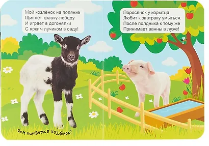 ЦК МИНИ. ДОМАШНИЕ ЖИВОТНЫЕ - фото 2