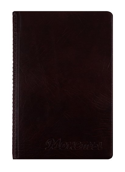 Альбом для монет, 132 ячейки, 17 x 11,5 см, Топ-Спин - фото 4