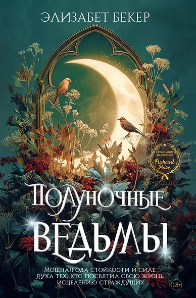 Полуночные ведьмы - фото 1